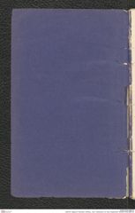 Seite 49, Tagebuch "Dürnstein | Wöbling - neol. | Höbenbach | Kl. Rust | Noppendorf" (NHMW-PRAE-BBB-45)